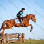 Horse-riding could improve your child’s intelligence, study reveals