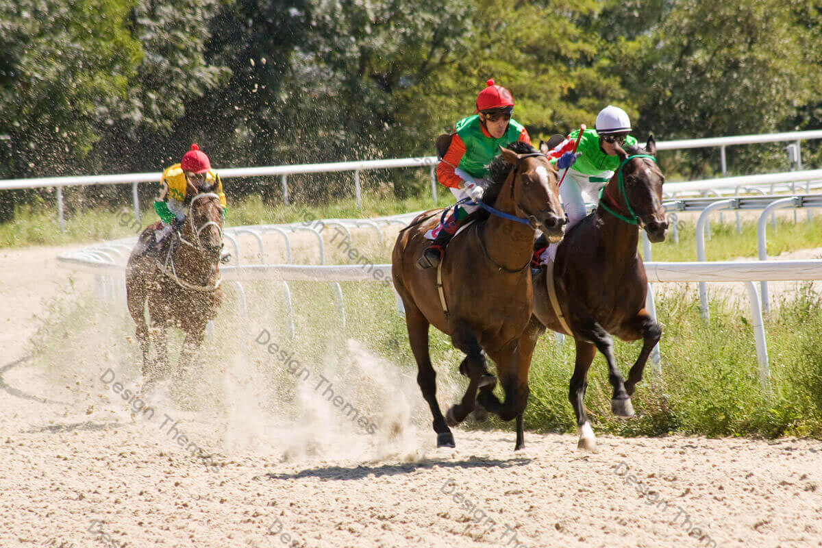 Horse racing in South Africa