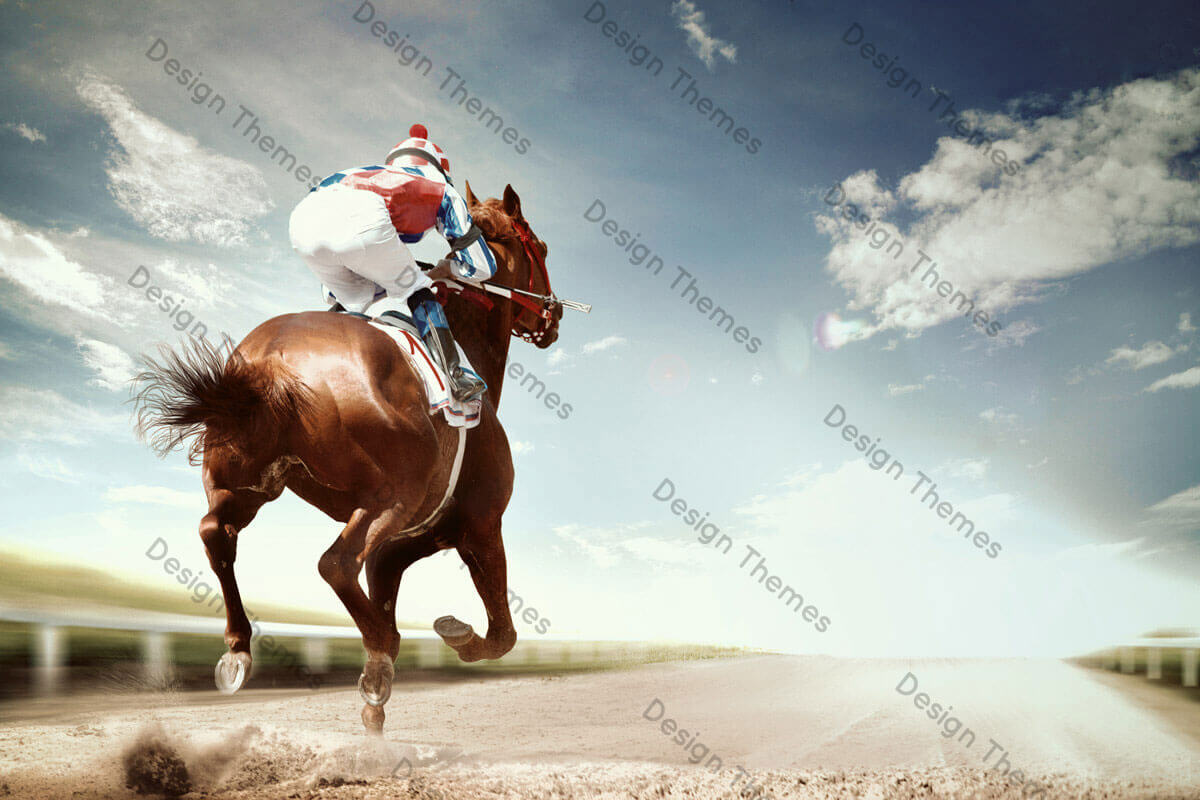 Horse racing in South Africa